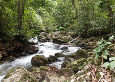 Research for Development: Payment for Ecosystem Services Outcome  for Sustainable Water Provision (R4D: PESO SWaP) in Barobbob Watershed, Nueva Vizcaya, Philippines