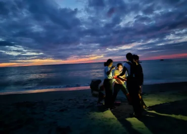 How natural capital accounting can help protect sea turtles